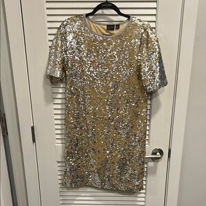 Gold and Silver Sequin Mini Dress